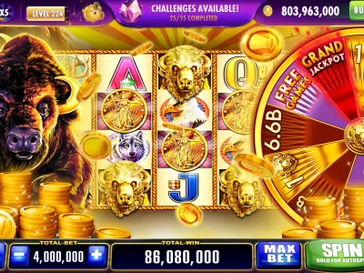 BetKing Lite Account Dashboard